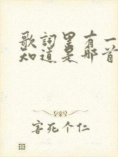 歌词里有一句不知道是哪首歌