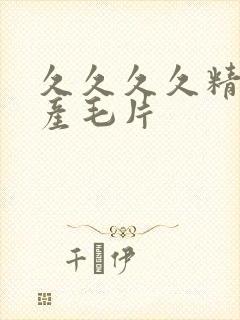 久久久久精品国产毛片