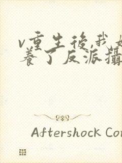 v重生后,我娇养了反派摄政王