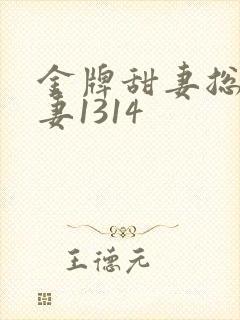 金牌甜妻总裁宠妻1314