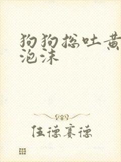 狗狗总吐黄水带泡沫