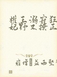 权王溺宠狂傲王妃野又撩正版