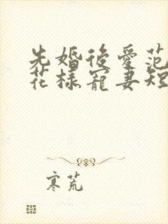 先婚后爱范总的花样宠妻短剧