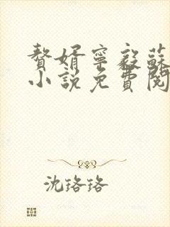 赘婿宁毅苏檀儿小说免费阅读