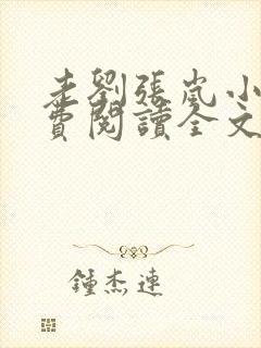 老刘张岚小说免费阅读全文最新章节