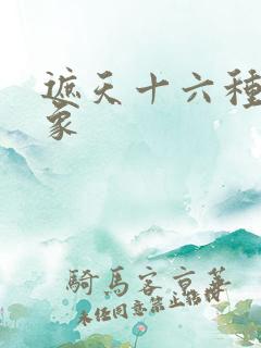 遮天十六种种异象