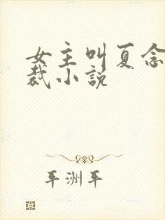 女主叫夏念的总裁小说