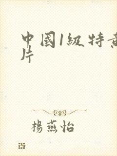 中国1级特黄大片