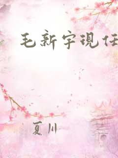 毛新宇现任何职