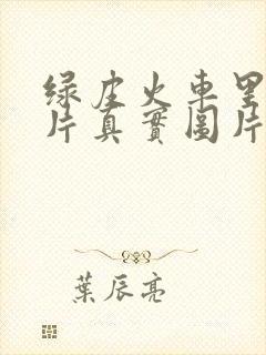 绿皮火车里面图片真实图片