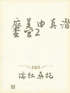 麻美由真潜入搜查官2