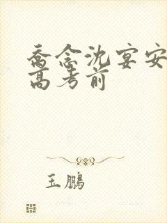 乔念沈宴安重生高考前