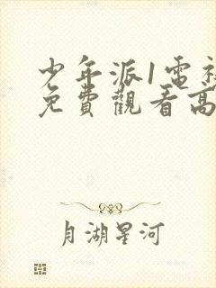 少年派1电视剧免费观看高清在线