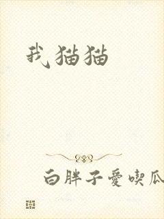 我猫猫
