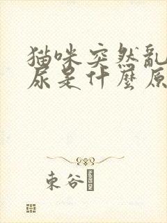 猫咪突然乱拉乱尿是什么原因引起的