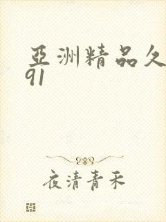 亚洲精品久久久91