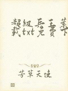 超级兵王叶谦下载txt免费下载