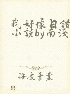 我好像日错人了小说by南浅笔趣阁无弹窗