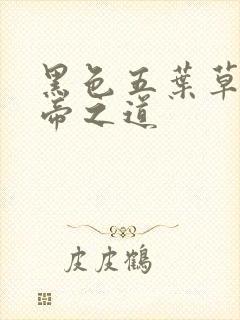 黑色五叶草魔法帝之道