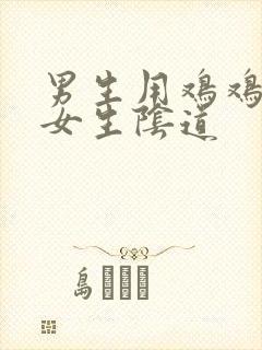 男生用鸡鸡插进女生阴道