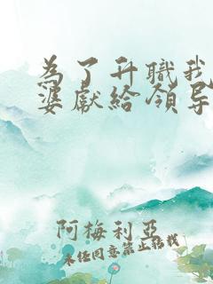 为了升职我把老婆献给领导小说