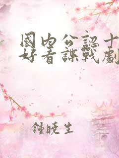 国内公认十部最好看谍战剧