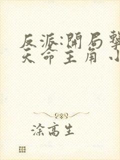 反派:开局击杀天命主角 小说