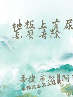 地板上有尿骚味怎么去除