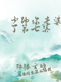 少帅你老婆又跑了第七集