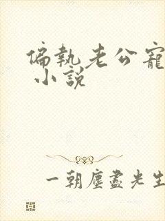 偏执老公宠上天 小说