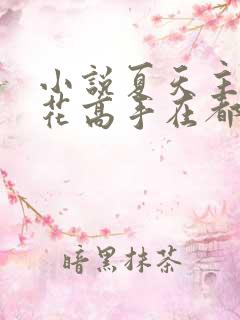 小说夏天主角护花高手在都市