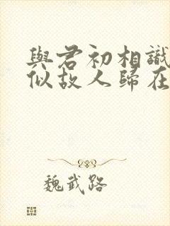 与君初相识·恰似故人归在线观看