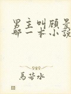 男主叫顾晨的是哪一本小说