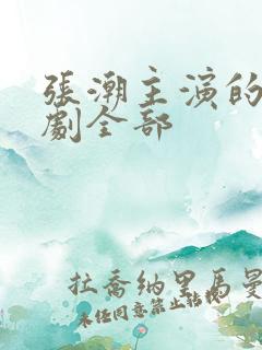 张潮主演的电视剧全部