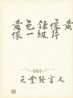 黄色录像黄色录像一级片