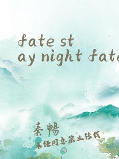 fate stay night fate线