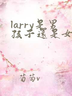 larry是男孩子还是女孩子