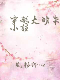 穿越大明朱祁钰小说