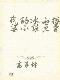 我的冰山总裁老婆小说免费