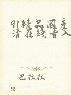 91精品国产高清在线看入口