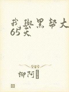 我与黑帮大佬365天