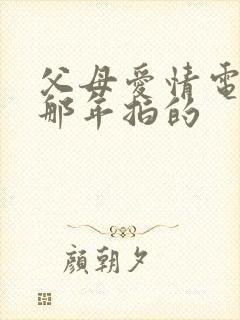 父母爱情电视剧那年拍的