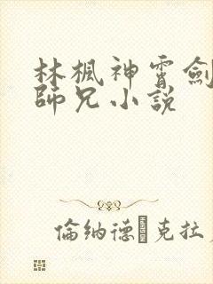 林枫神霄剑宗大师兄小说