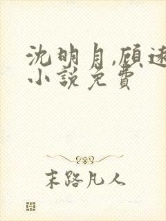 沈明月,顾远舟小说免费