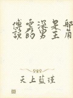 傅云深是哪部小说的男主角