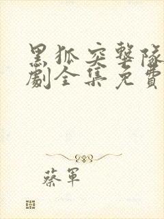 黑狐突击队电视剧全集免费观看