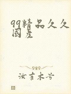 99精品久久久国产
