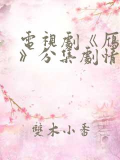 电视剧《雁回时》分集剧情