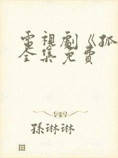 电视剧《孤战》全集免费