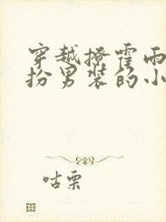 穿越撩霍雨浩女扮男装的小说